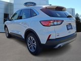 Certified 2022 Ford Escape SEL image 4