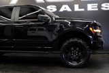 Used 2024 Ford F150 STX w/ STX Black Appearance Package image 6
