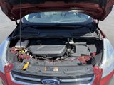 Used 2014 Ford Escape Titanium image 4