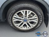 Used 2022 Ford Escape SEL w/ Technology Package image 5