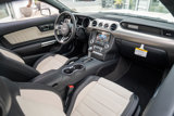 Used 2015 Ford Mustang 50 Years image 6