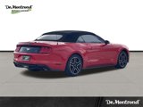 Used 2020 Ford Mustang Premium image 5