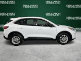 Used 2022 Ford Escape SE image 5