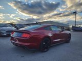 Used 2016 Ford Mustang Premium w/ Ecoboost Performance Package image 4