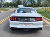 Used 2021 Ford Mustang Premium image 6