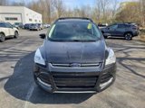 Used 2013 Ford Escape SEL image 5