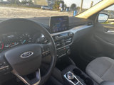 Used 2020 Ford Escape SE image 6