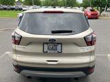 Used 2017 Ford Escape Titanium w/ Equipment Group 301A image 5