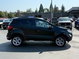 Certified 2022 Ford EcoSport SE w/ SE Convenience Package image 4