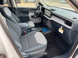 New 2025 Ford Maverick XLT w/ Equipment Group 302A image 4