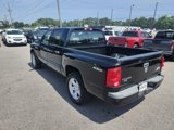 Used 2009 Dodge Dakota Big Horn image 5