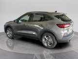 New 2025 Ford Escape ST-Line w/ Cold Weather Package image 3