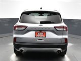 Used 2020 Ford Escape SE image 4