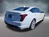 New 2025 Cadillac CT5 Premium Luxury image 5