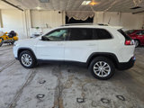 Used 2019 Jeep Cherokee Latitude w/ Popular Appearance Group image 6