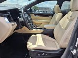 Used 2019 Cadillac XT5 Premium Luxury image 5