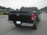 Used 2016 Ford F150 XLT w/ Equipment Group 301A Mid image 5