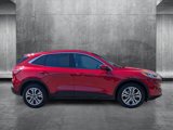 Used 2021 Ford Escape SEL image 4