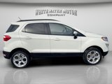 Used 2021 Ford EcoSport SE w/ SE Appearance Package image 6