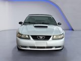 Used 2004 Ford Mustang Convertible image 3