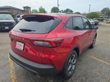 New 2025 Ford Escape ST-Line w/ Tech Pack #1 image 5