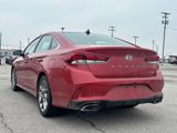 Used 2019 Hyundai Sonata Limited image 6