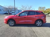 New 2024 Ford Escape ST-Line w/ Tech Pack #1 image 6