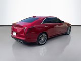 Used 2021 Cadillac CT4 Premium Luxury image 5