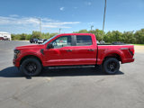 New 2024 Ford F150 STX w/ STX Black Appearance Package image 2