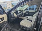 Used 2022 Nissan Pathfinder SL w/ SL Premium Package image 3