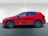 Used 2024 Lexus NX 250 AWD image 4