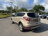 Used 2018 Ford Escape SE image 3