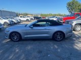 Used 2015 Ford Mustang Premium image 4