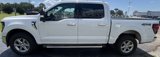 New 2024 Ford F150 XLT w/ Equipment Group 302A MID image 5