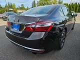 Used 2016 Honda Accord EX-L image 4