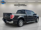Used 2012 Ford F150 XLT w/ XLT Chrome Pkg image 3