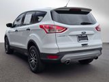 Used 2014 Ford Escape S image 3
