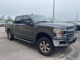 Used 2018 Ford F150 XLT w/ Equipment Group 302A Luxury image 4