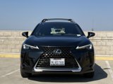 Used 2024 Lexus UX 250h FWD image 6