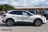 New 2025 Ford Escape ST-Line w/ Tech Pack #1 image 4