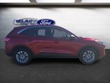 Used 2022 Ford Escape SE image 6