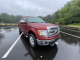 Used 2014 Ford F150 XLT w/ Equipment Group 302A Luxury image 3