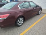 Used 2008 Honda Accord EX-L image 4