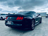 Used 2016 Ford Mustang Premium w/ Equipment Group 201A image 4