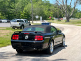 Used 2008 Ford Mustang GT image 6