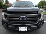 Used 2019 Ford F150 XLT w/ Equipment Group 302A Luxury image 2
