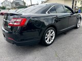 Used 2013 Ford Taurus SHO image 5