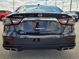 Used 2023 Nissan Maxima SV w/ Floor Mat Group image 5