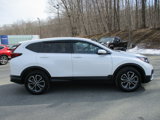 Certified 2022 Honda CR-V EX-L image 4