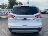 Used 2014 Ford Escape Titanium w/ Equipment Group 401A image 3